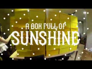 A BOX FULL OF SUNSHINE